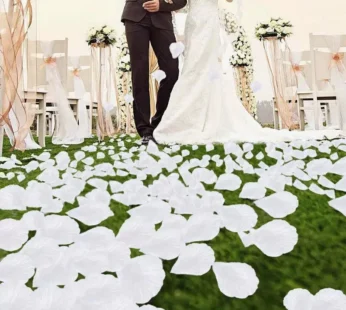 1000/3000pcs Colorful Artificial Rose Petals Wedding Petalas